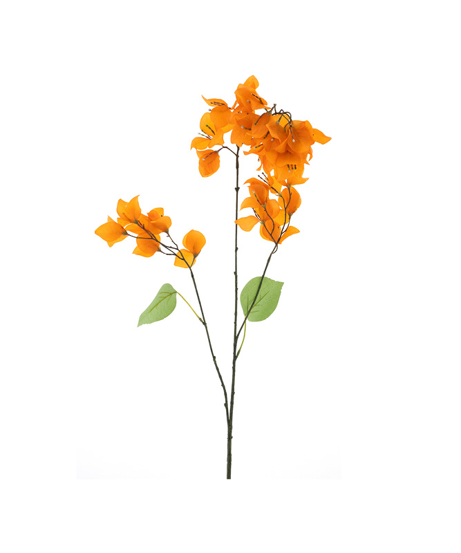 Isaa_product categorie zijden bloemen